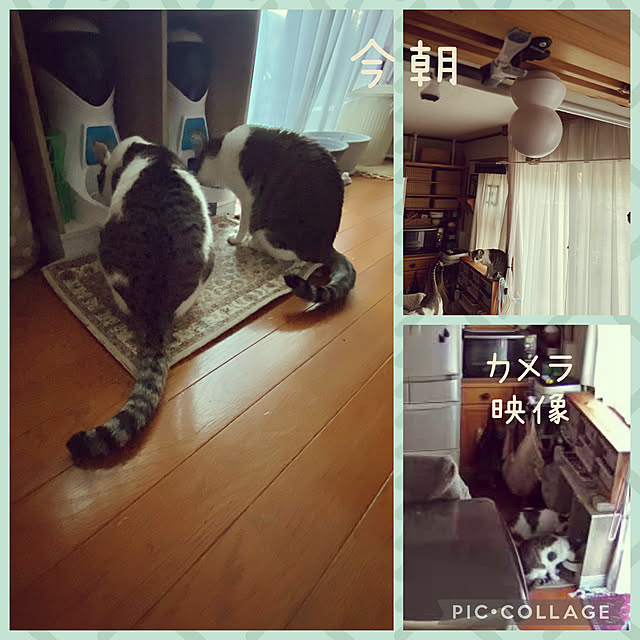 Lufuさんの実例写真