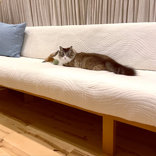 masyacanonさんの実例写真