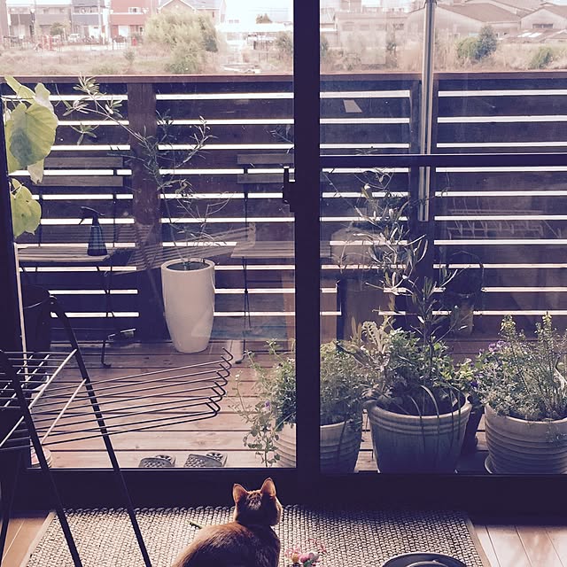 hanaさんの実例写真