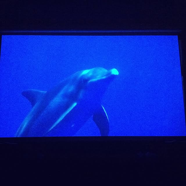 Shigeさんの実例写真