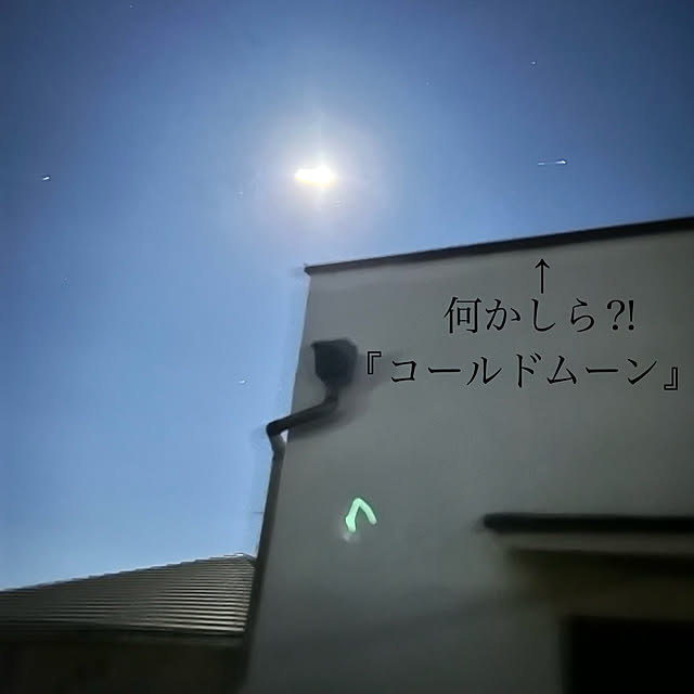 akaidarumaさんの実例写真