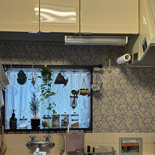 canetteさんの部屋