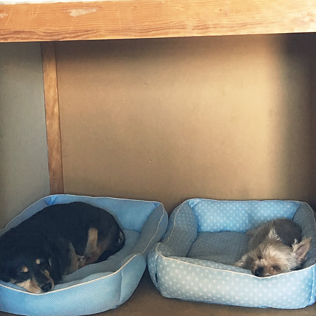 ohanaさんの実例写真