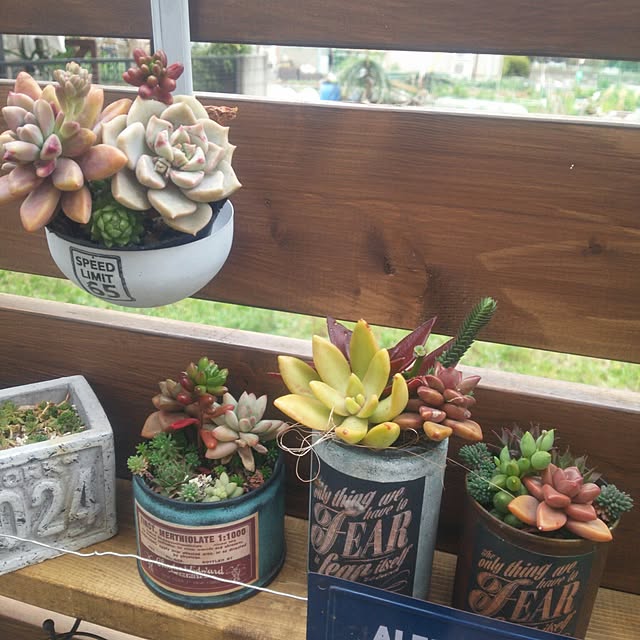 mikippeさんの実例写真
