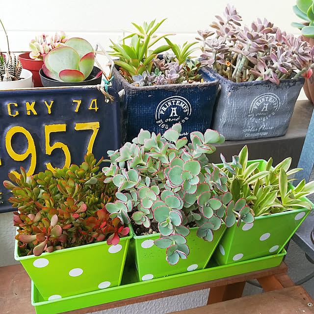 VERANDARJUNさんの実例写真