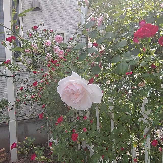 Bienvenueさんの実例写真