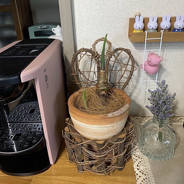JUNさんの実例写真