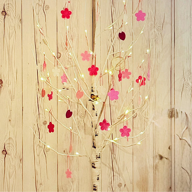 funiさんの実例写真