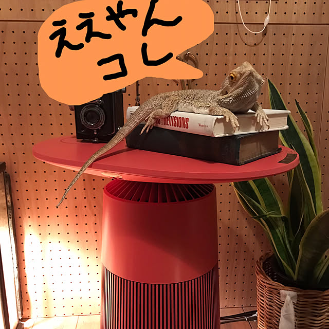 japitonさんの実例写真