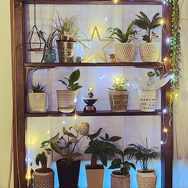 雑貨/DIY/100均/ダイソー/観葉植物...などのインテリア実例 - 2022-06-20 19:39:34