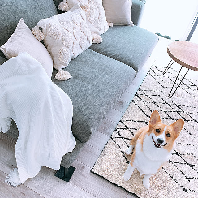 3ayuさんの実例写真