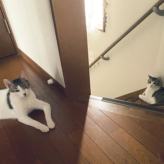 Lufuさんの実例写真