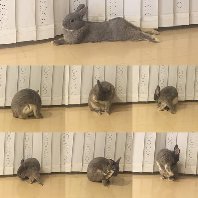 kei_sさんの実例写真