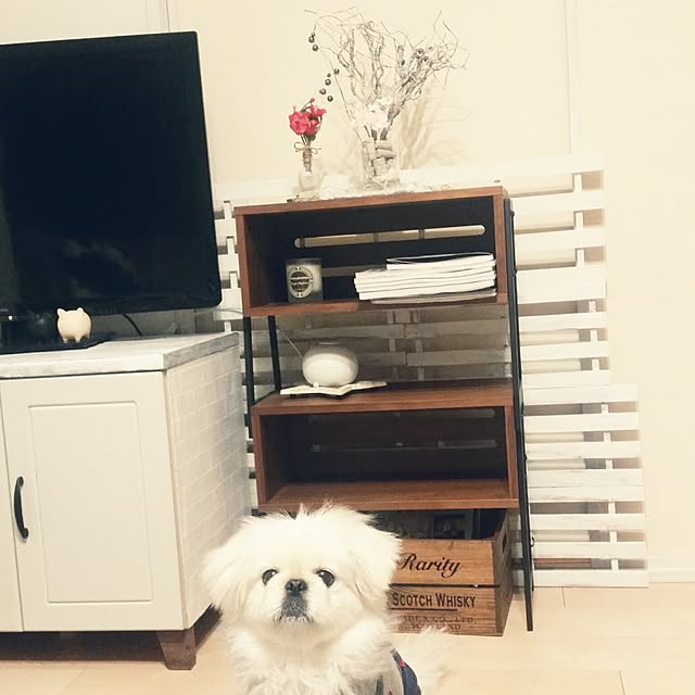 yukagomaさんの実例写真
