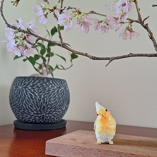 toramonaさんの部屋