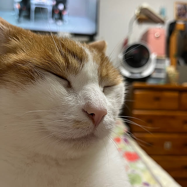 Toyomiさんの部屋