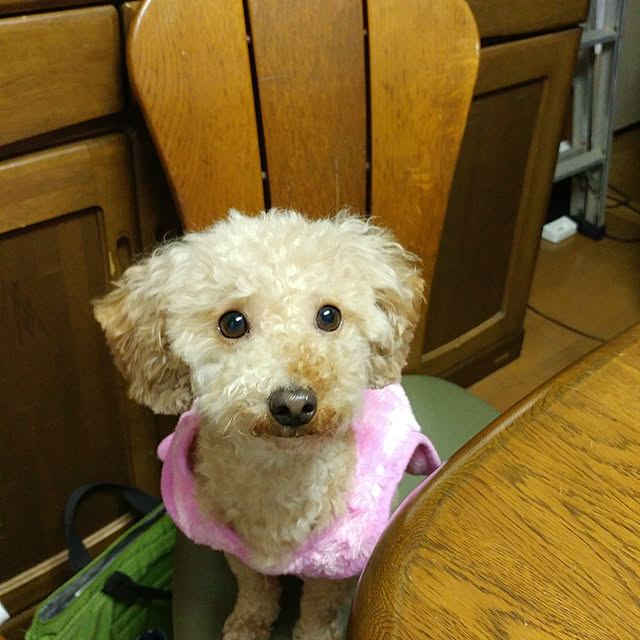 nontenrunさんの実例写真