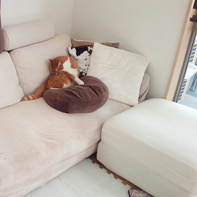 meiさんの実例写真