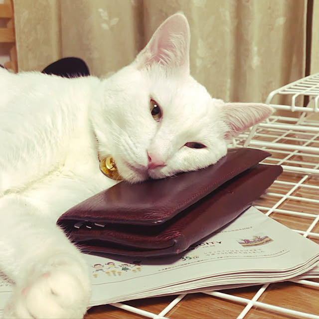 moyuhiさんの実例写真