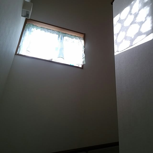 kyukyuさんの実例写真