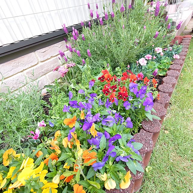 fleur-mamanさんの部屋