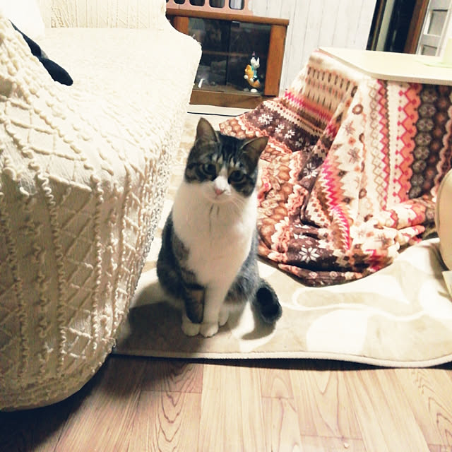 Tomopさんの実例写真