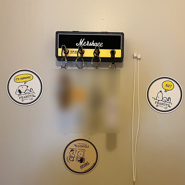 miiiiiiiさんの実例写真