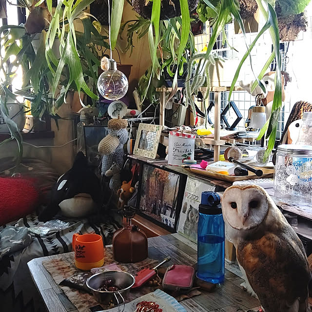 mikiさんの実例写真