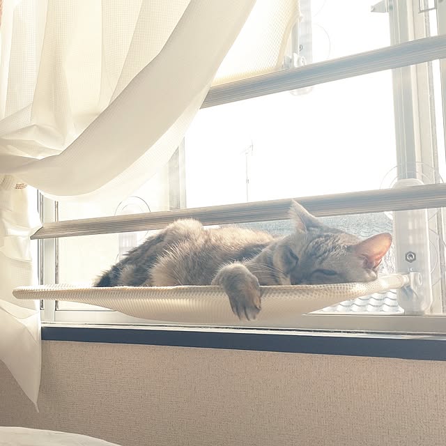 coooperさんの実例写真