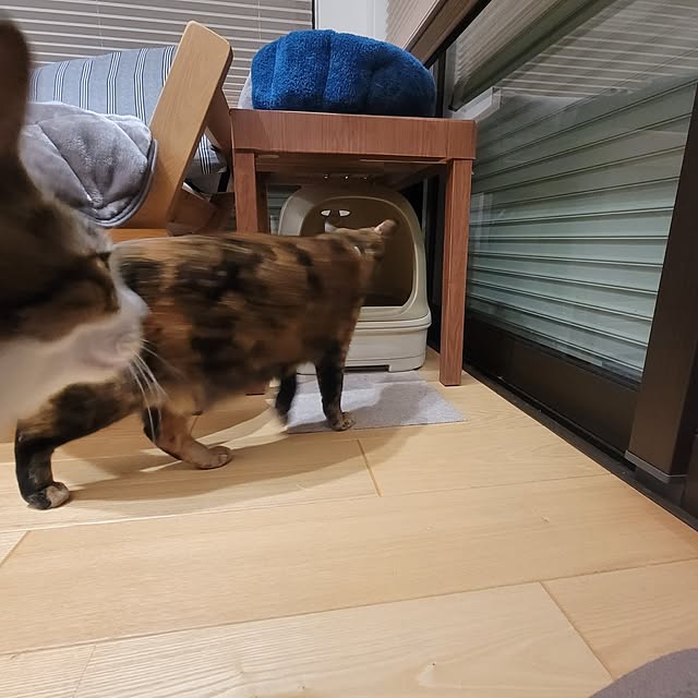 natuさんの部屋