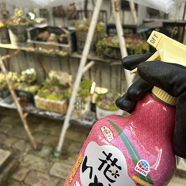 shhさんの部屋