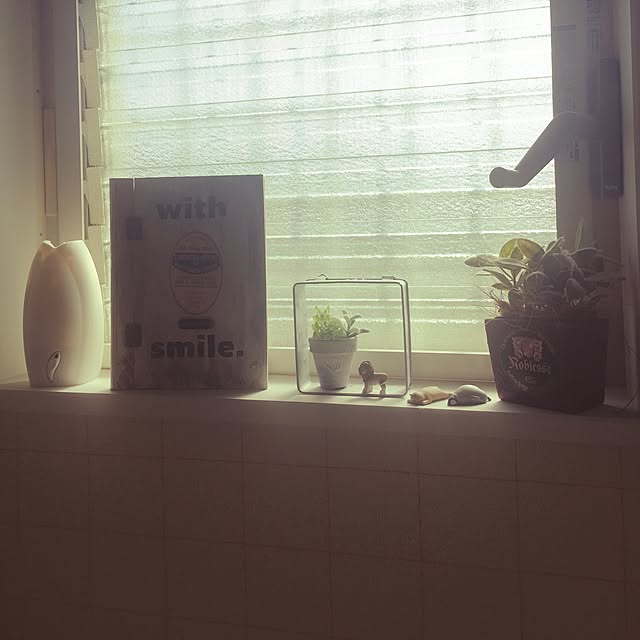 Nogamiさんの実例写真