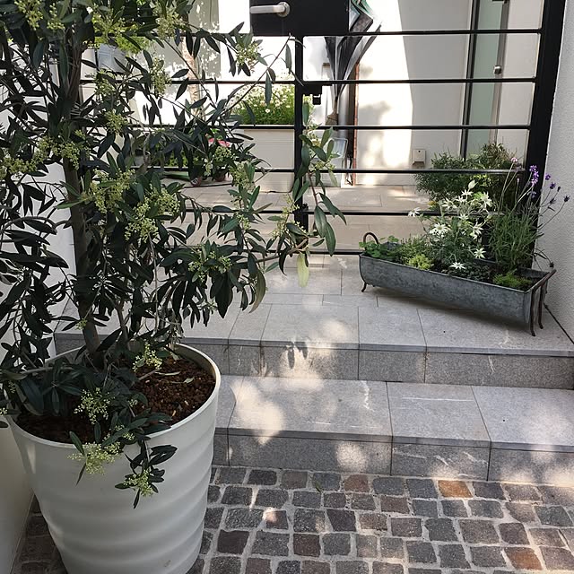 mamaintokyoさんの実例写真