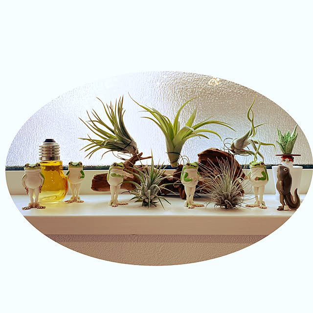 moainanoさんの実例写真