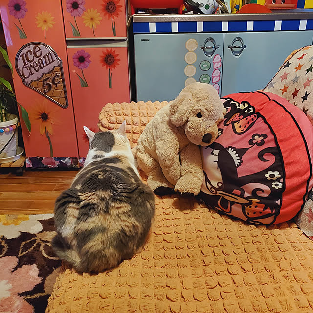 kumutanさんの実例写真