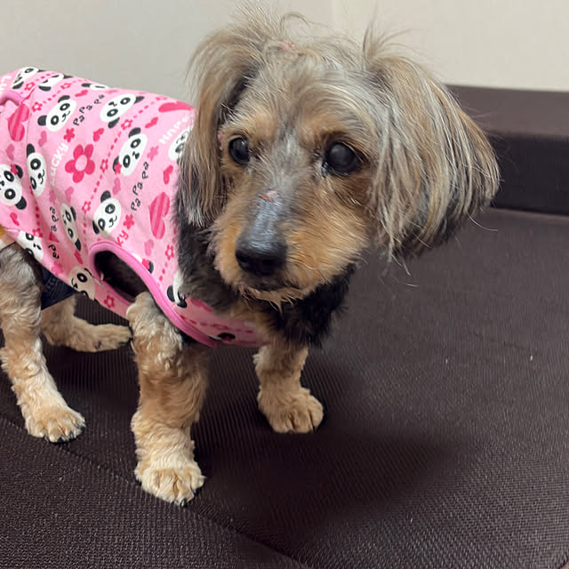 Annieさんの部屋