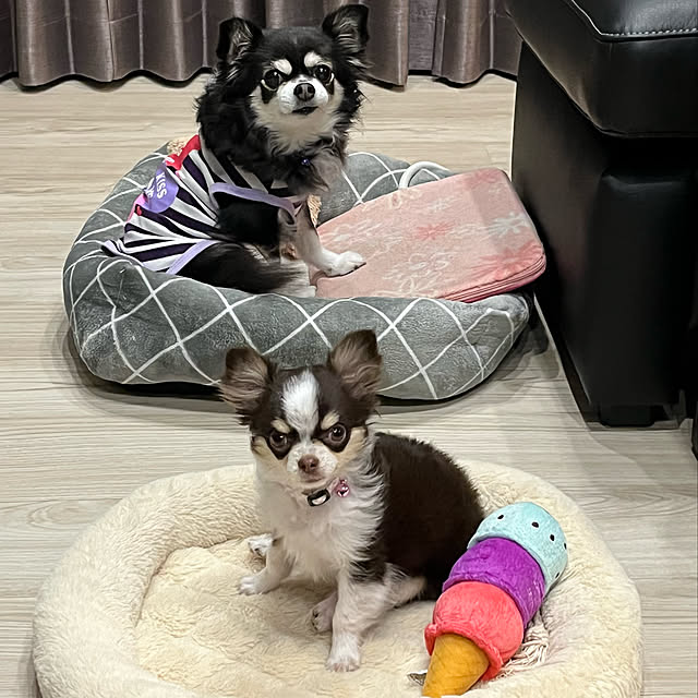 Hannahさんの実例写真