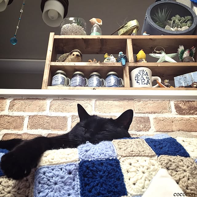 cocoronさんの実例写真