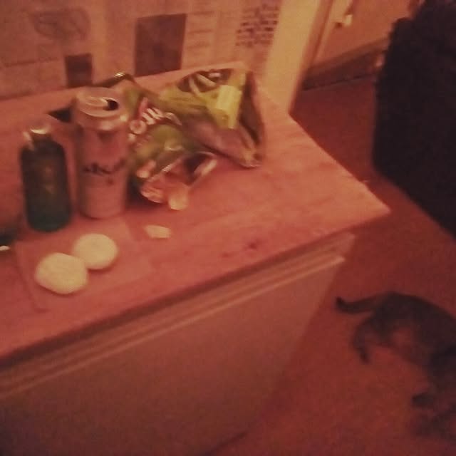 catloveさんの部屋