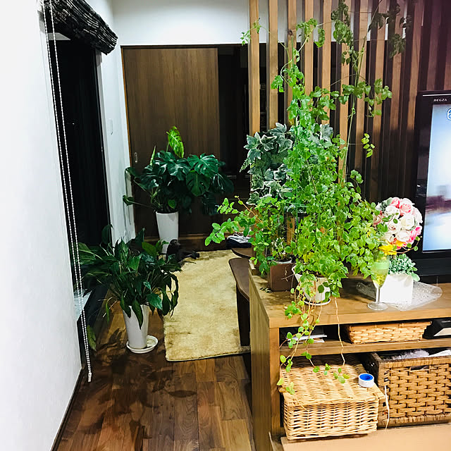 masaさんの実例写真