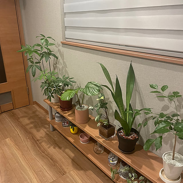 ikuzakさんの部屋