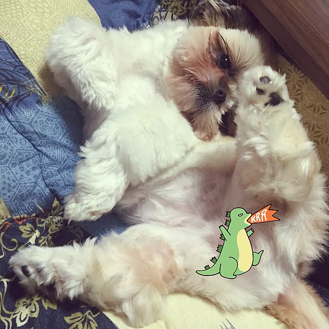 Kanamiさんの実例写真