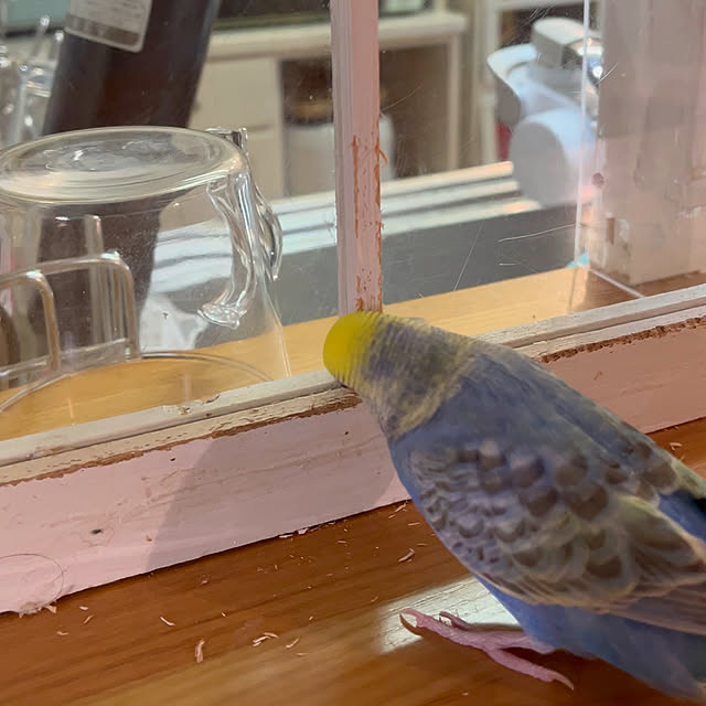 Atsukoさんの部屋