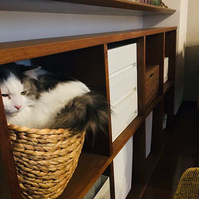 komaさんの実例写真