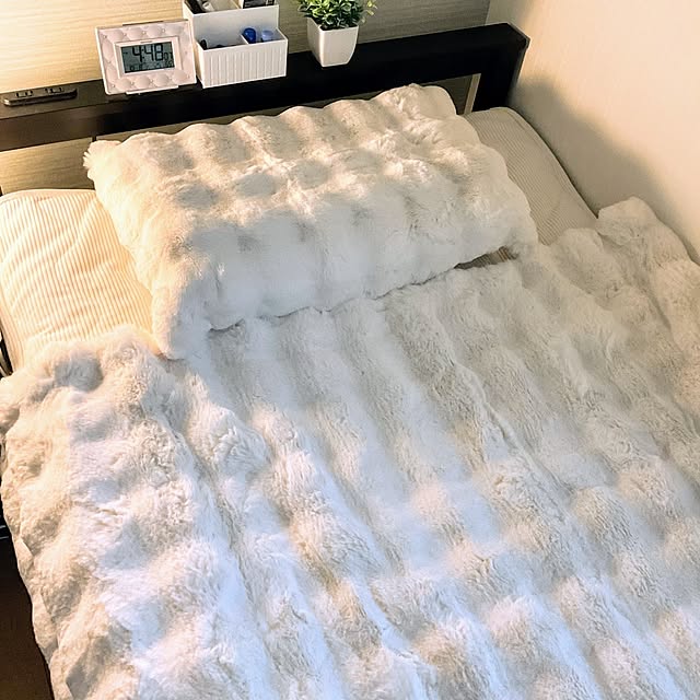 nanae-lowellさんの部屋