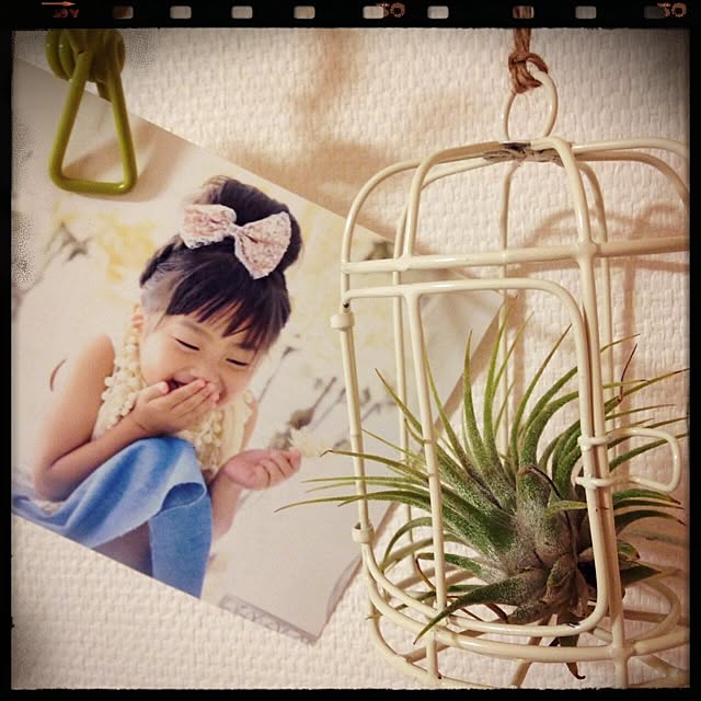 merryさんの実例写真