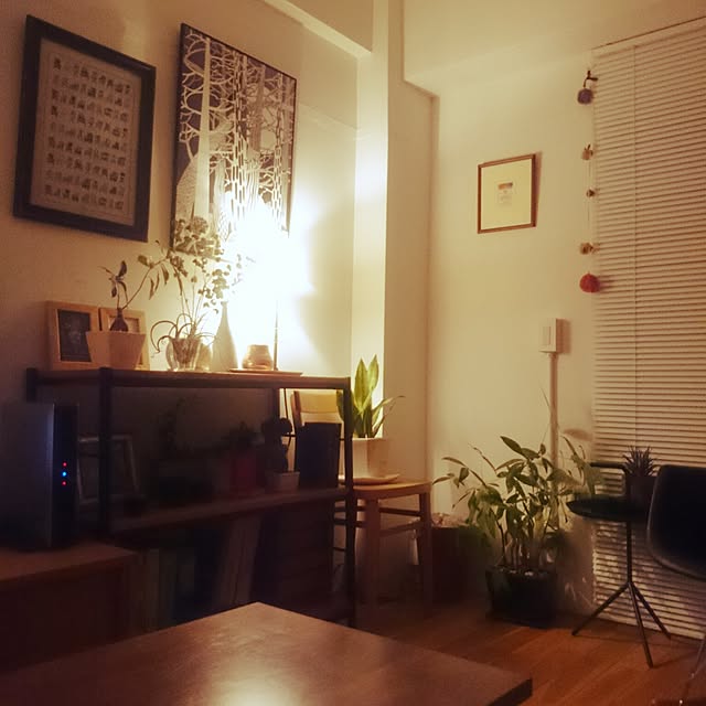 naoyooさんの実例写真