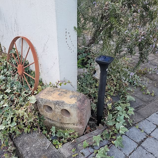 reireiさんの実例写真