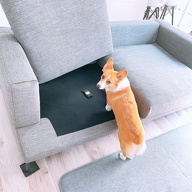 3ayuさんの実例写真