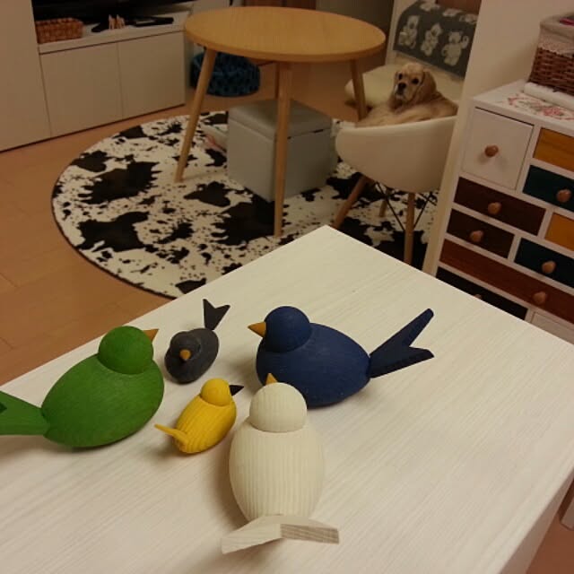 evetamaさんの実例写真